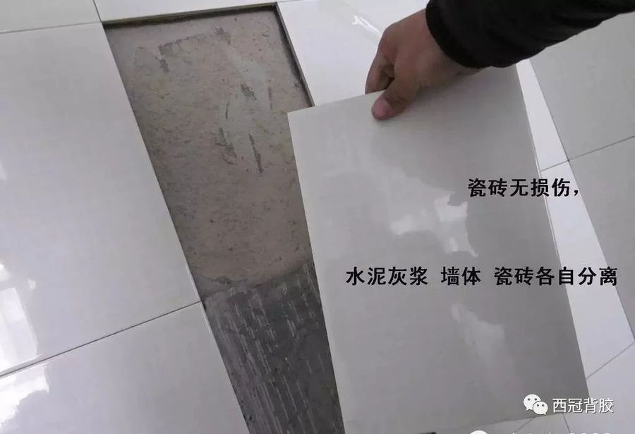 微信圖片_20190425162133.jpg